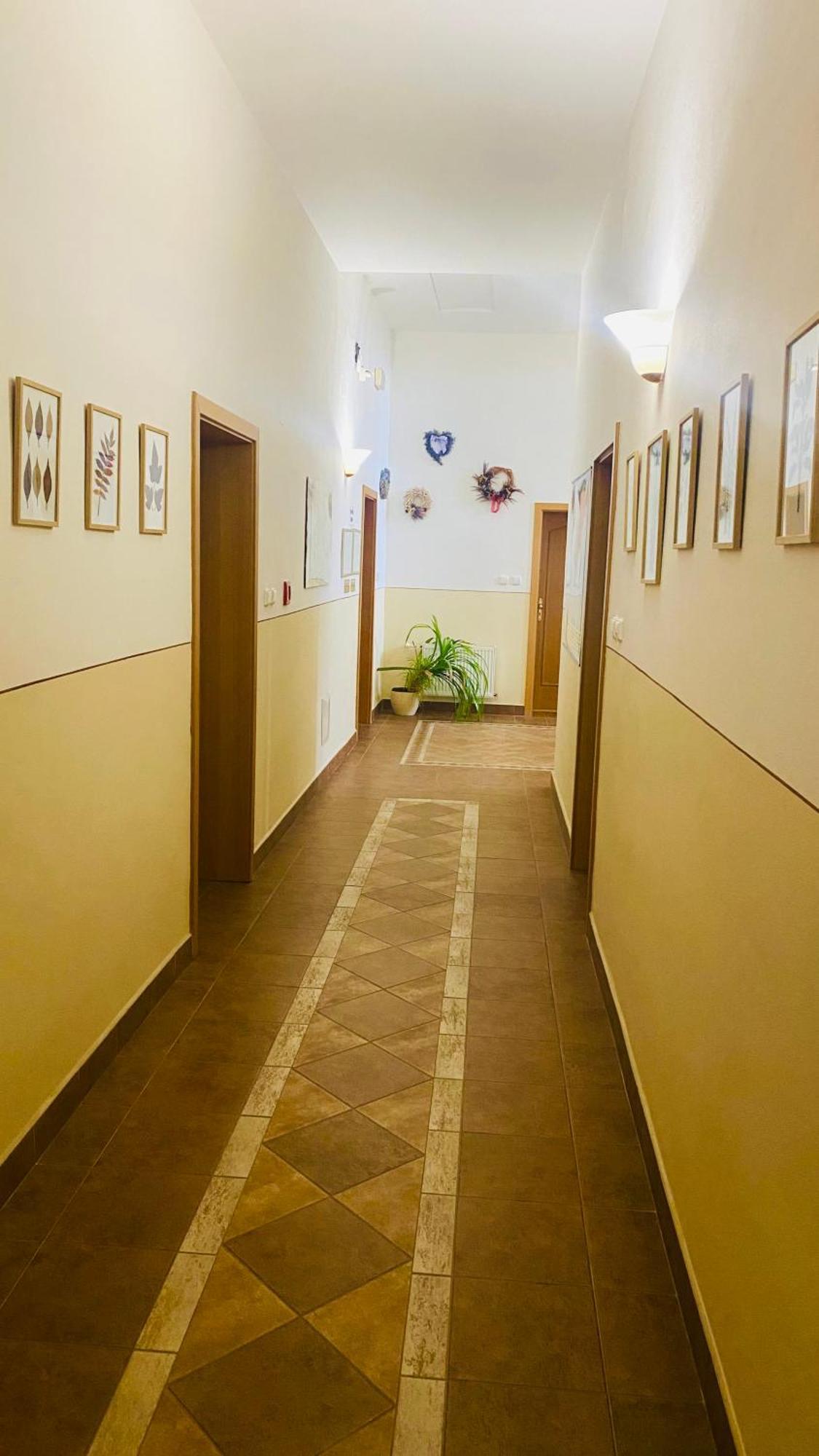 Penzion Cerny Kun Hradec Králové エクステリア 写真